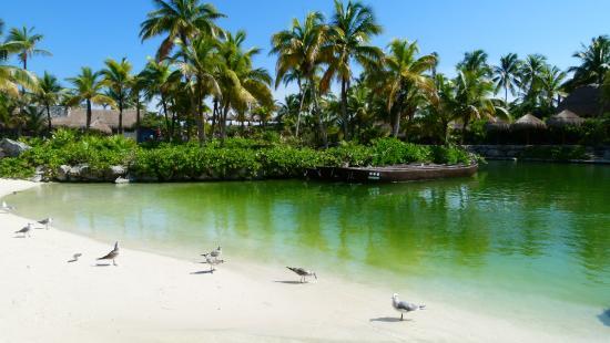 Centro Ecológico Akumal